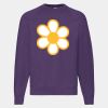 Classic 80/20 raglan sweatshirt Thumbnail